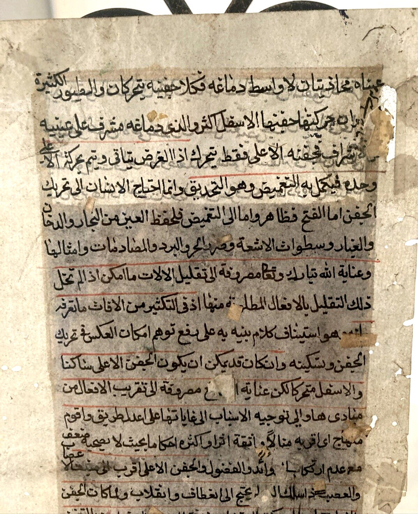 Antique Middle Eastern Manuscript Page - Hand Painted w/Script on Reverse