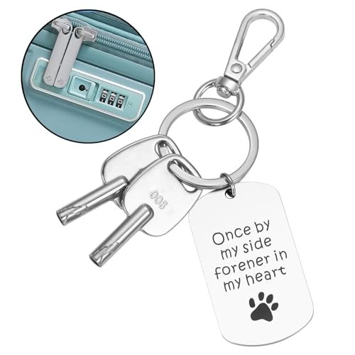 2PCS Master Luggage Key for 008 Combination Lock - Suitcase Lock Replacement