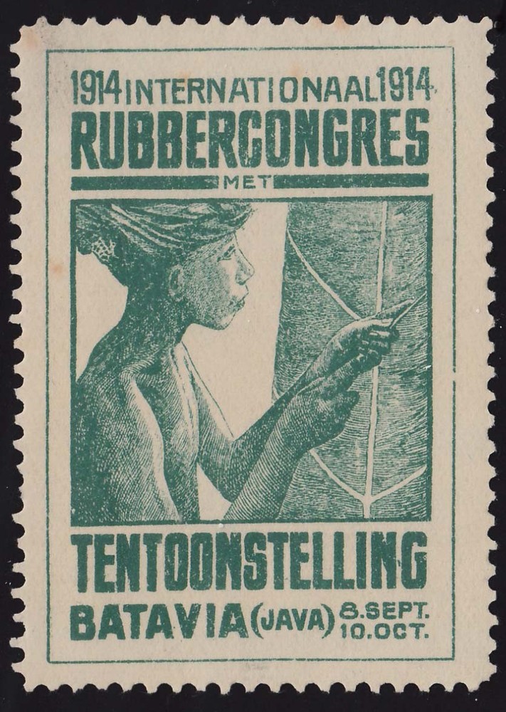 Netherlands NVPH Rubber Congress Mint never hinged.