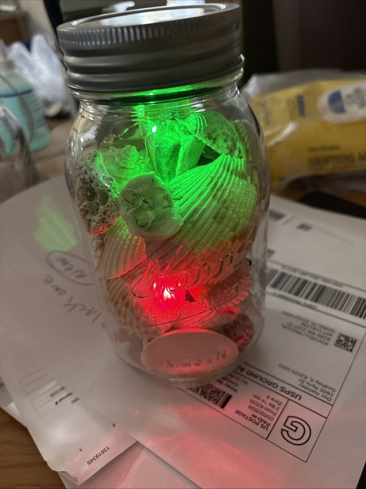Shells In Lighted Jar