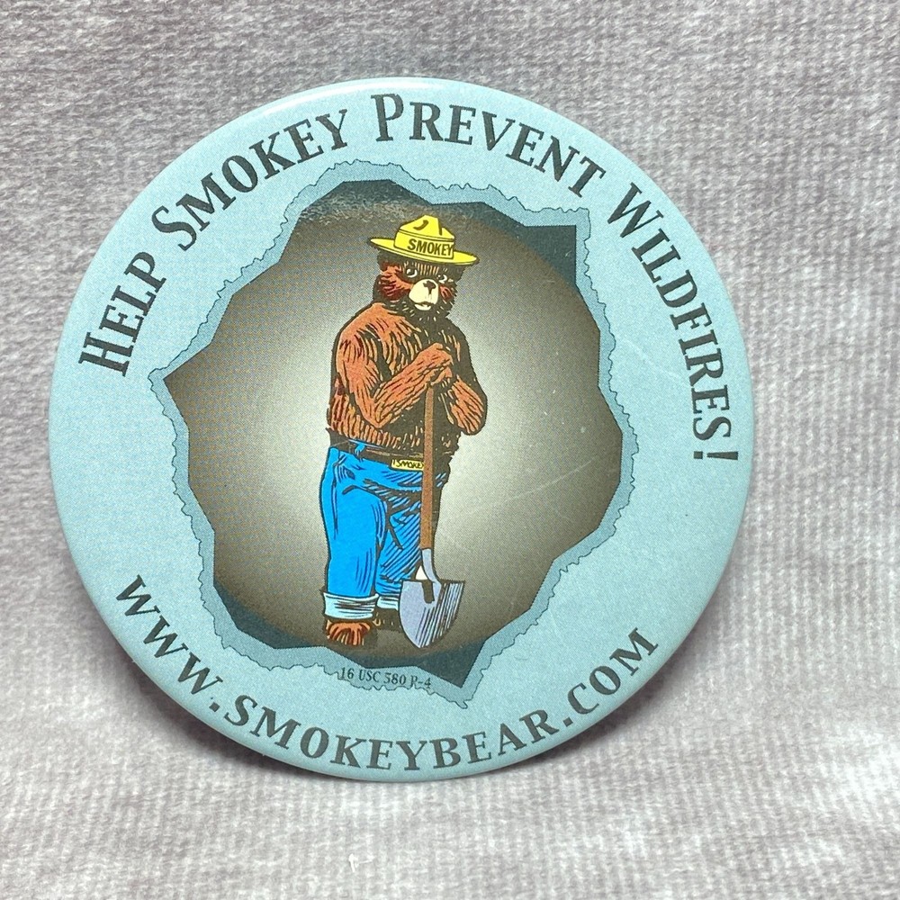 Vintage Smokey Bear Help Prevent Wildfires Button Pin