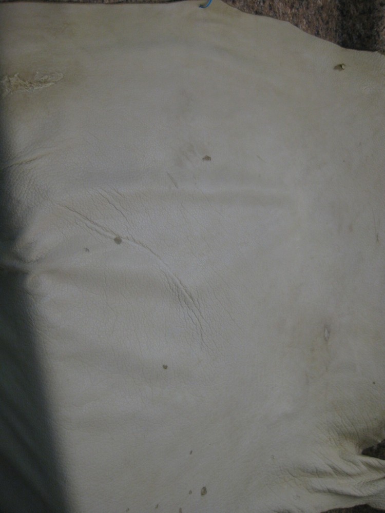 Top Grain Buffalo Leather #0011382 Row 120