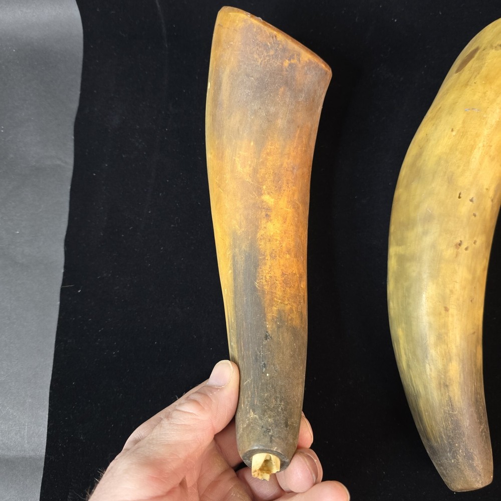 Antique Powder Horns