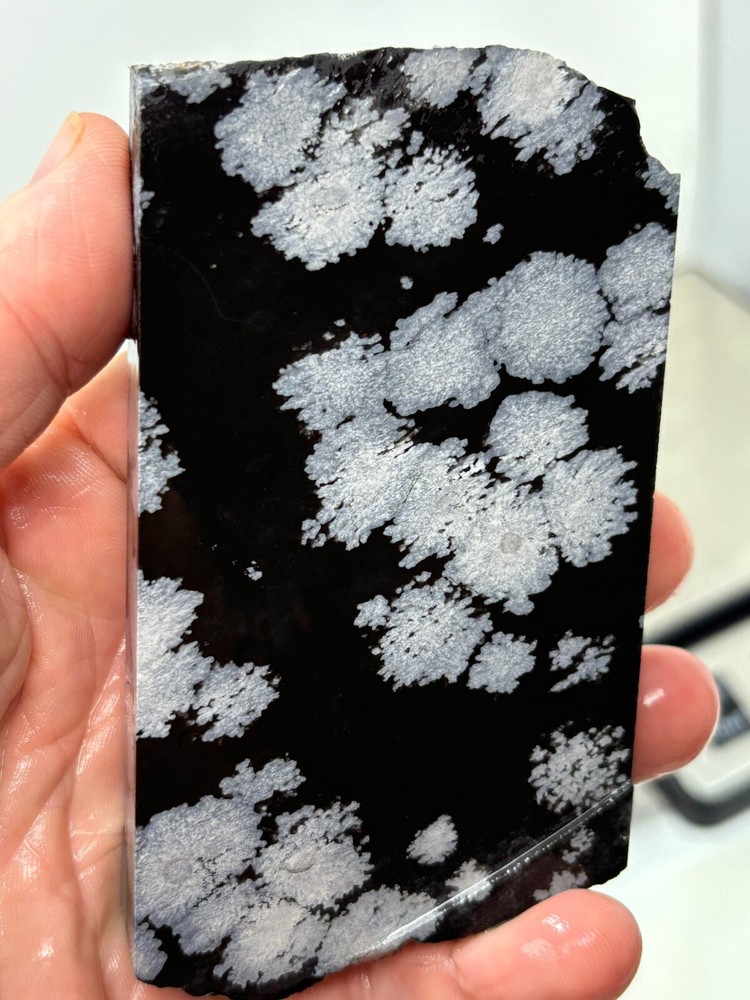 Flower Obsidian (large snowflake) Cabbing Knapping Collecting Combo Ship Avail