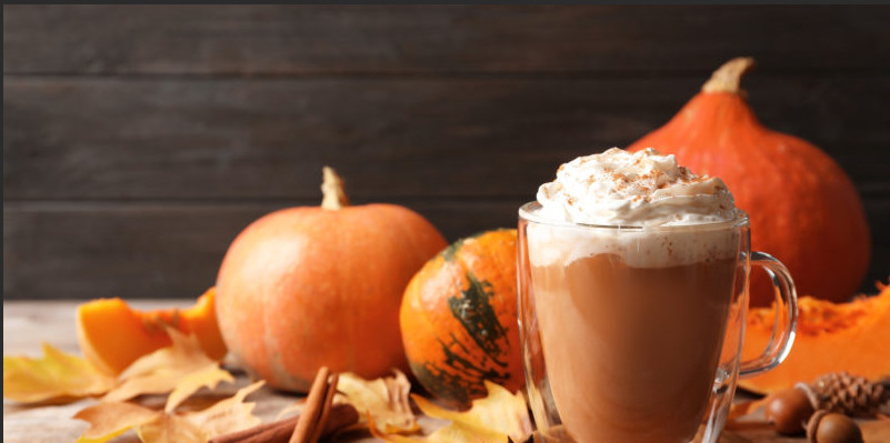 Plexus lean whey meal replacement Spiced Pumpkin LIMITED EDITION 😋