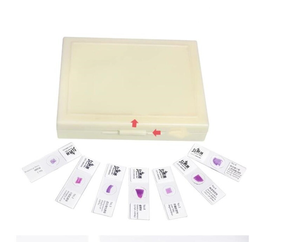 100PCS Mammal Pathological Section Typical Prepared Specimen Slides