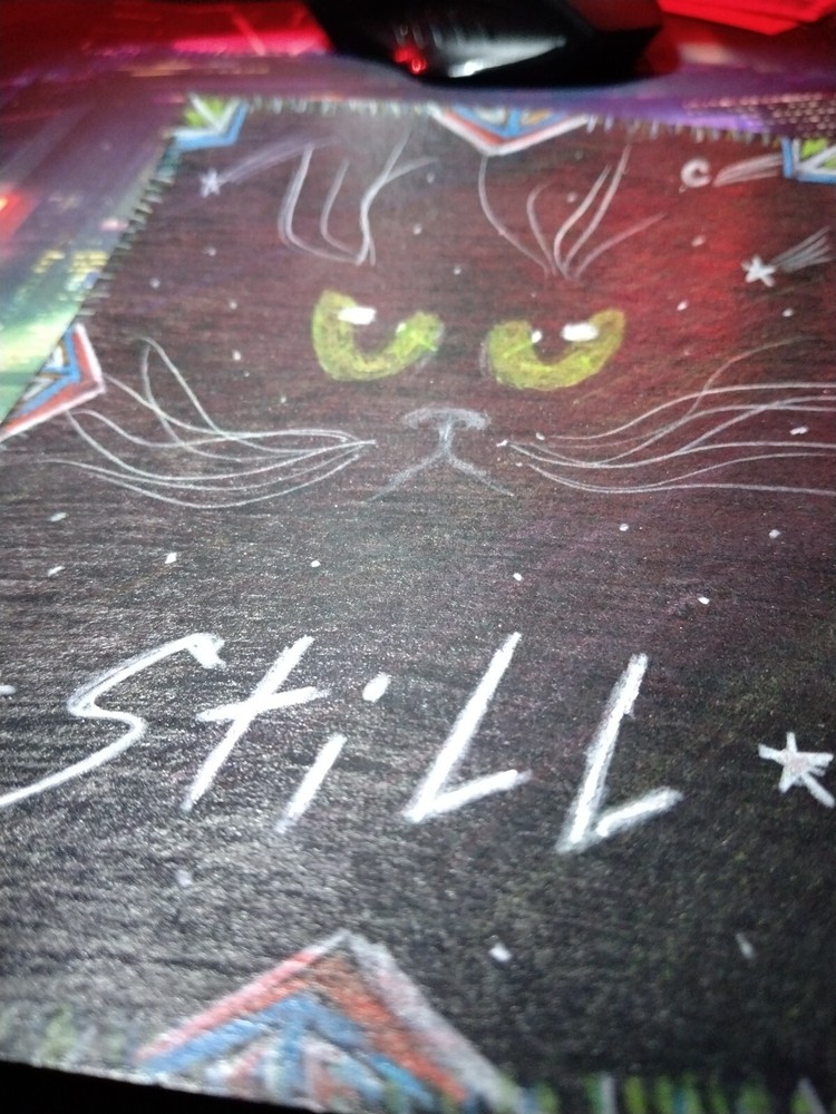 DALLY 🎱 Original pencil drawing Black Cat