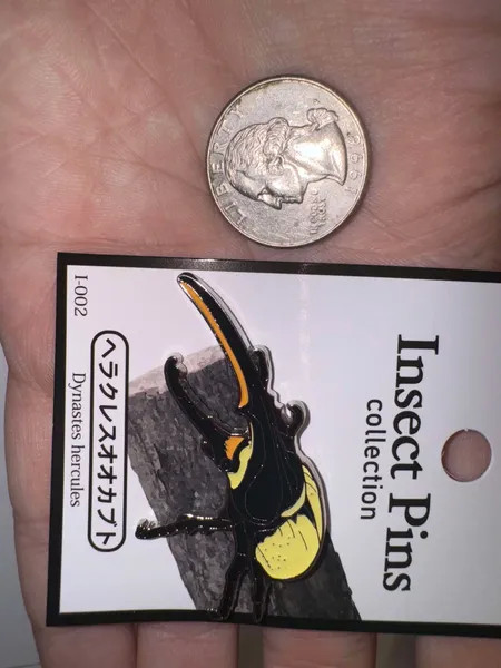 Hercules Beetle Pin Badge from Japan