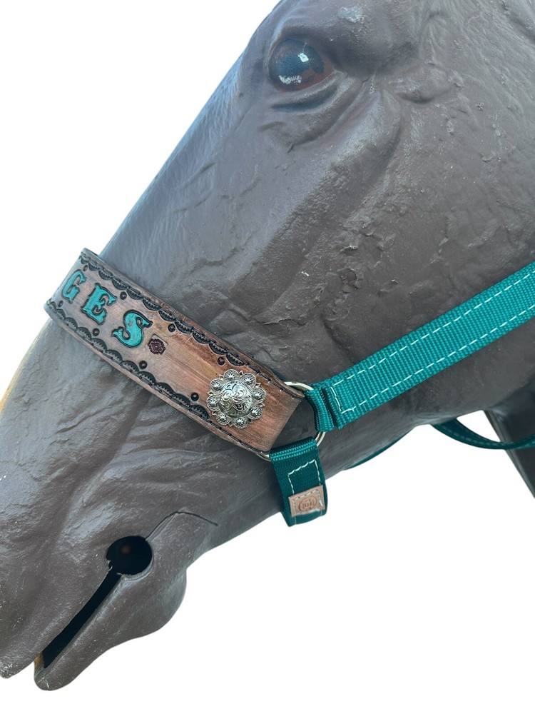 Personalized Nylon Horse Halter In Teal