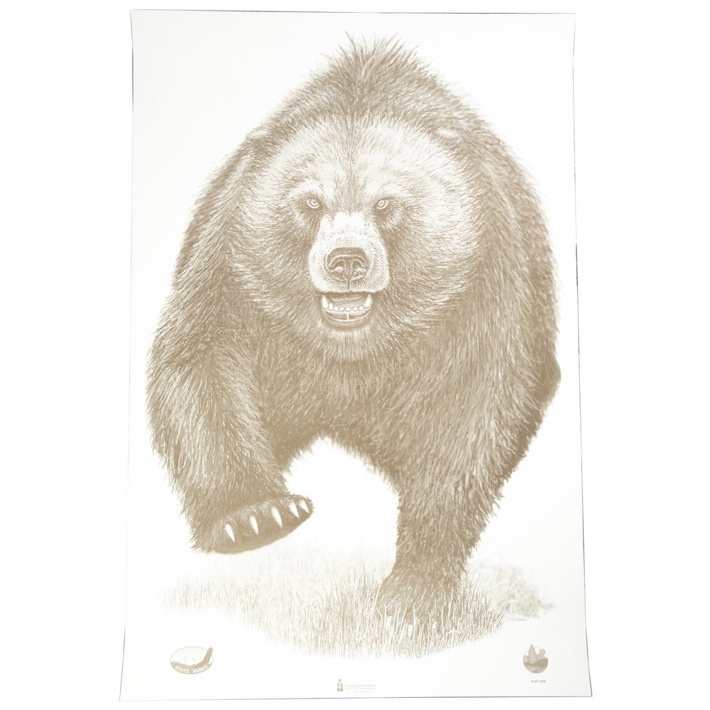 Action Target Alaska State Parks Bear Target 100-Pack - ASP-BB-100