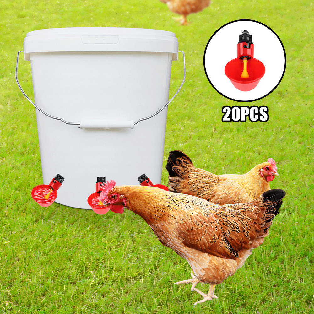 20 PCS Automatic Water Cups Poultry Drinker Waterer Chicken Duck Quail Drinking