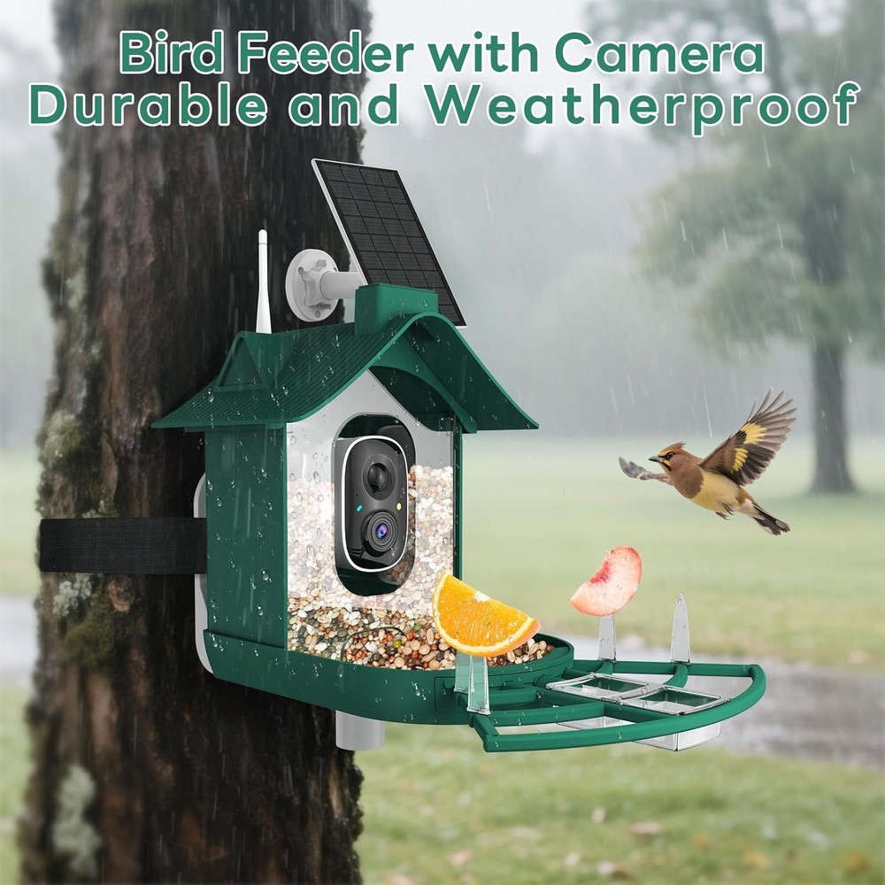 Smart Bird Feeder with 2K Live View Camera & AI Identify with Solar Panel,Night