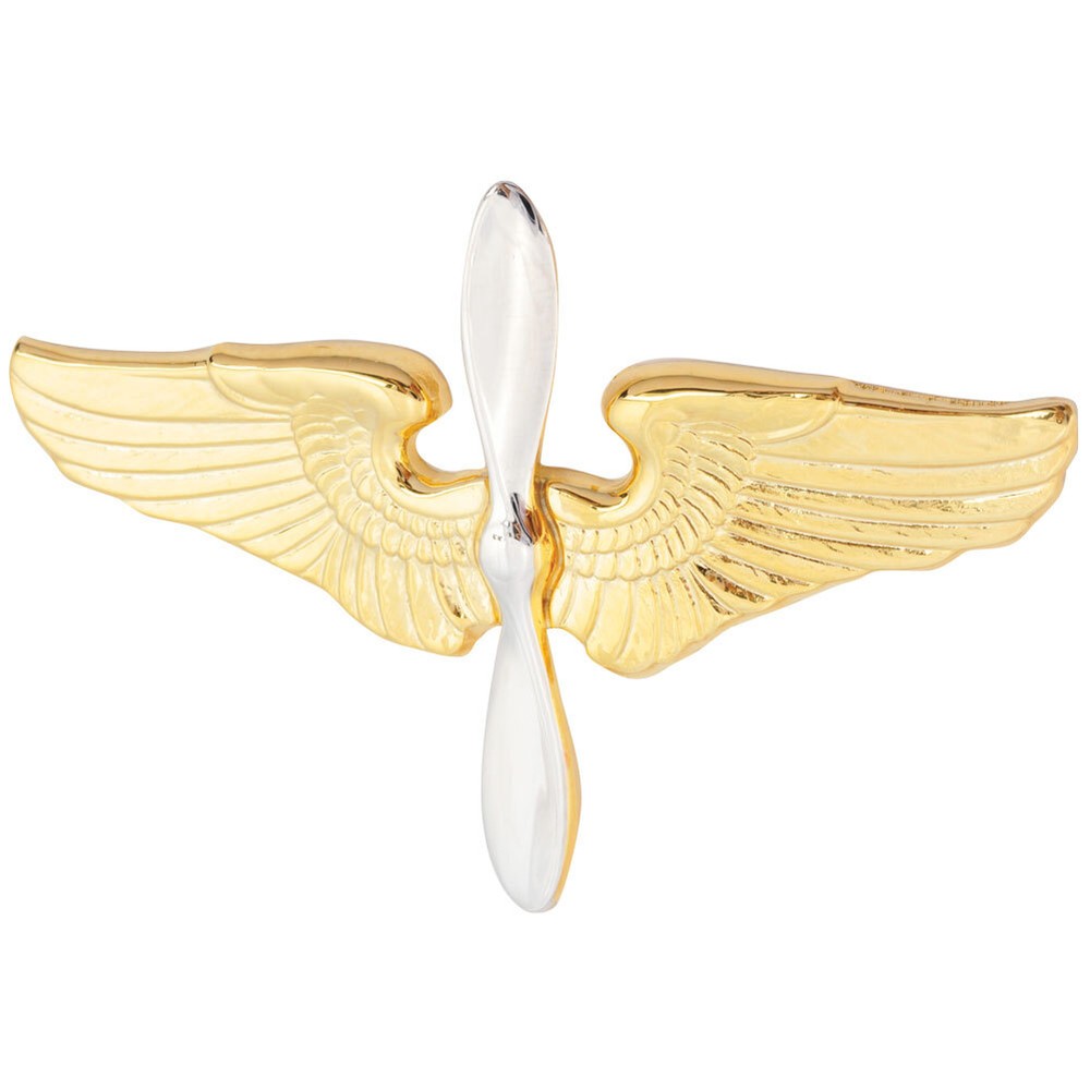 Air Force Air Corps Cadet Cap Badge