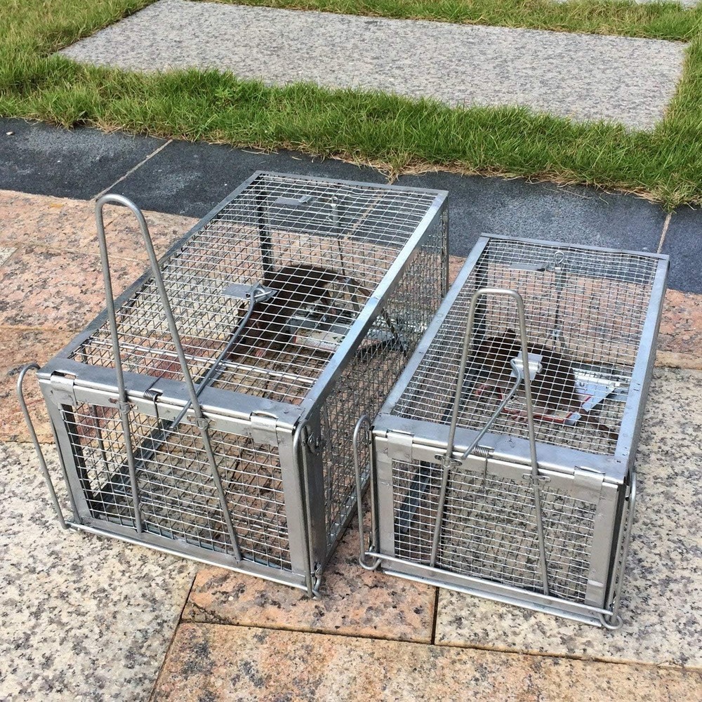 Innovative Patented Rodent Trap - Effortless Catch-and-Release Solution