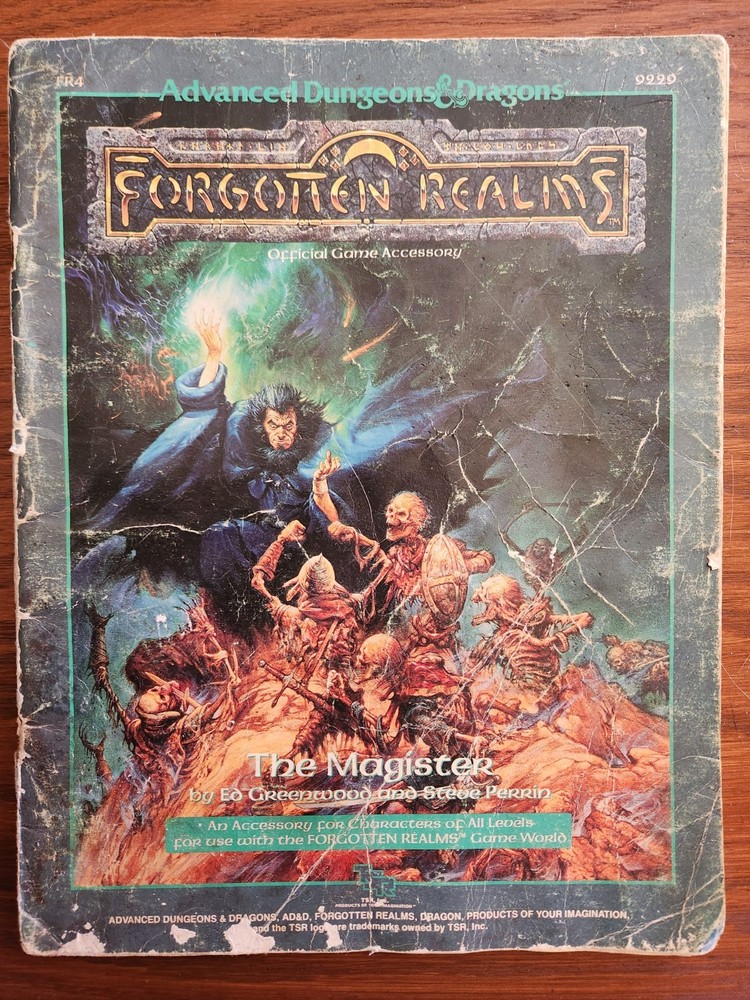 The Magister Forgotten Realms D&D basic TSR BECMI Dungeons Dragons