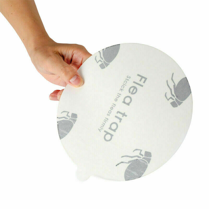 5 Flea Trap Refill Sticky Discs Replacement Glue Bug Fly Insects Catcher Boards