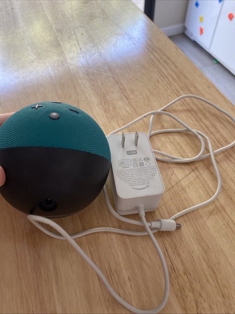 Owl Amazon Echo Dot for Kids