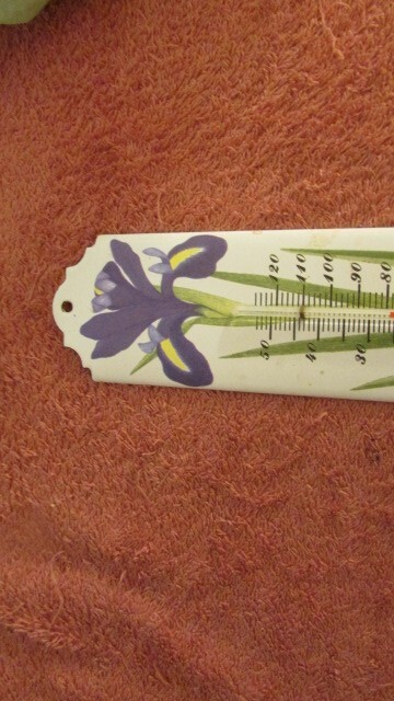 Vintage Thermometer Floral