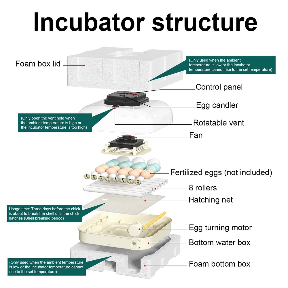 CoInceptus 35 Egg Incubator with Automatic Egg Turning and Humidity Control, ...