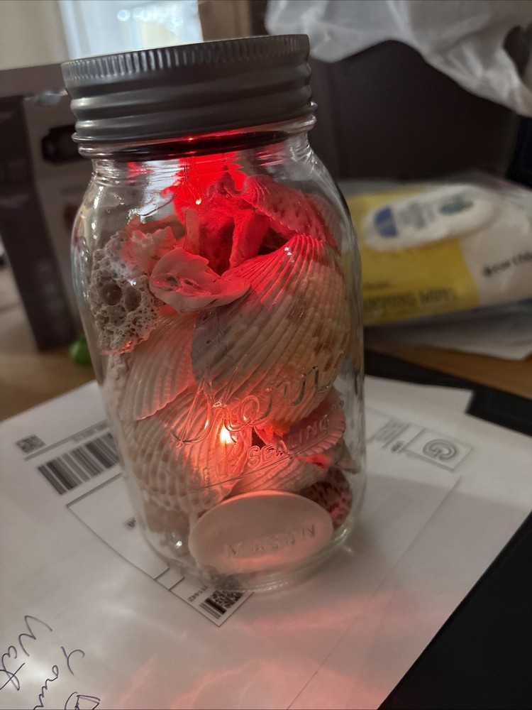 Shells In Lighted Jar