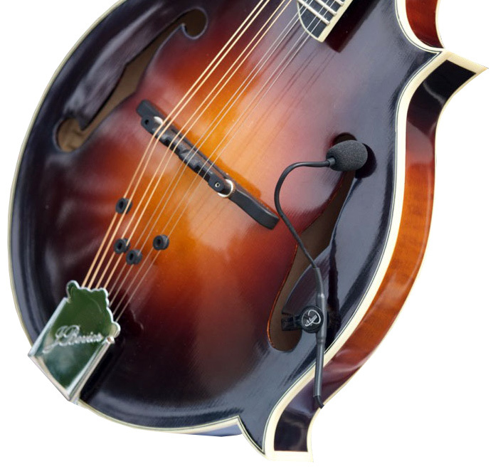 The Feather Flatback Mandolin Pickup by Myers Pickups
