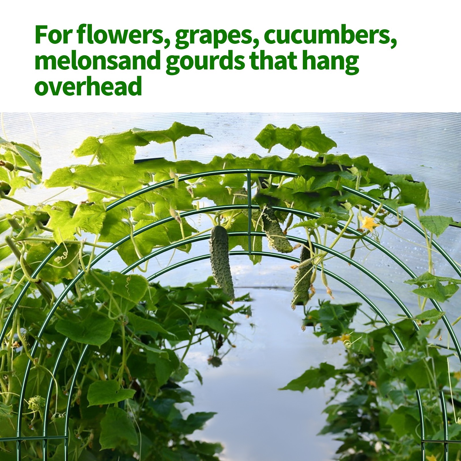 Large Size Steel Garden Arch Rose Arbor Climbing Plant Grape Support Frame Yard