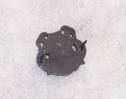 Vn Era Army Divers Qualification Badge