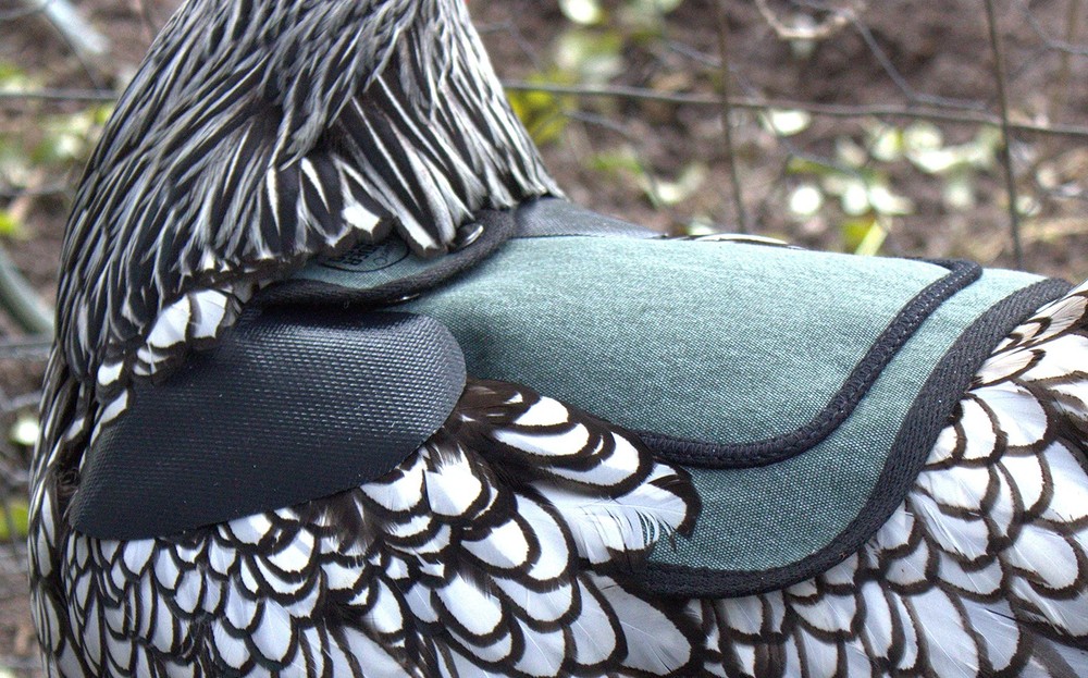 4 Pack Medium-Large Saddles with Adjustable Straps, Poultry Saver, Protector,...