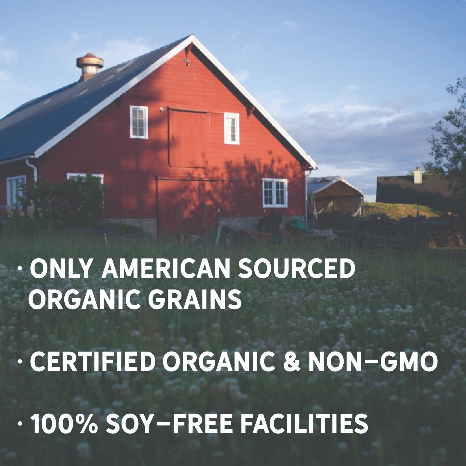 New Country Organics | Organic Oats 40lb | Feed Grade