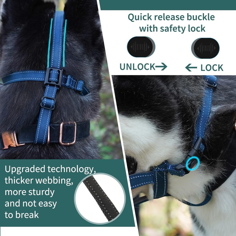 BARKLESS Dog Muzzle, Basket Muzzle for Small 1 (Snout 6-7½"), multi-color