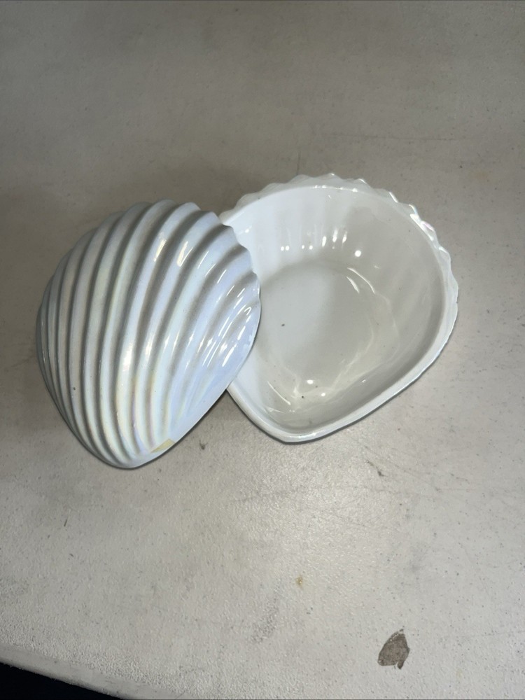 Iridescent Pearlized Sea Shell Vintage