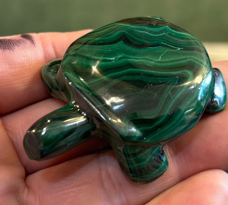 2” Malachite Turtle