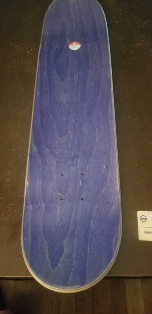 TONY HAWK SKATEBOARD LEGEND AUTHENTIC SIGNED AUTOGRAPH STEINER COA RARE