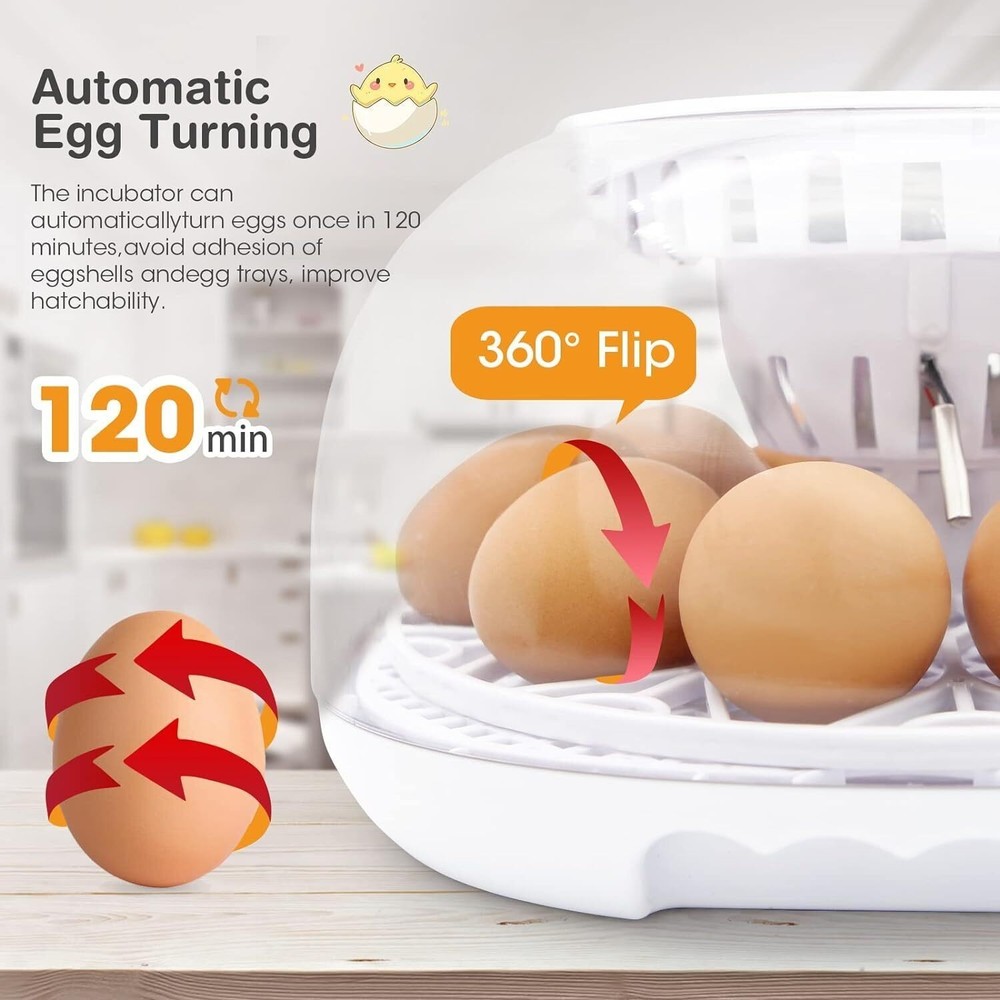 Incubators Hatching Eggs 12-24 Egg W/ Automatic Egg Turning Humidity Control New