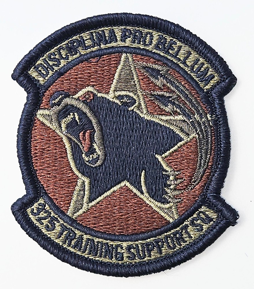 Air Force 325th Training Support Squadron Spice Brown Hook Back Patch