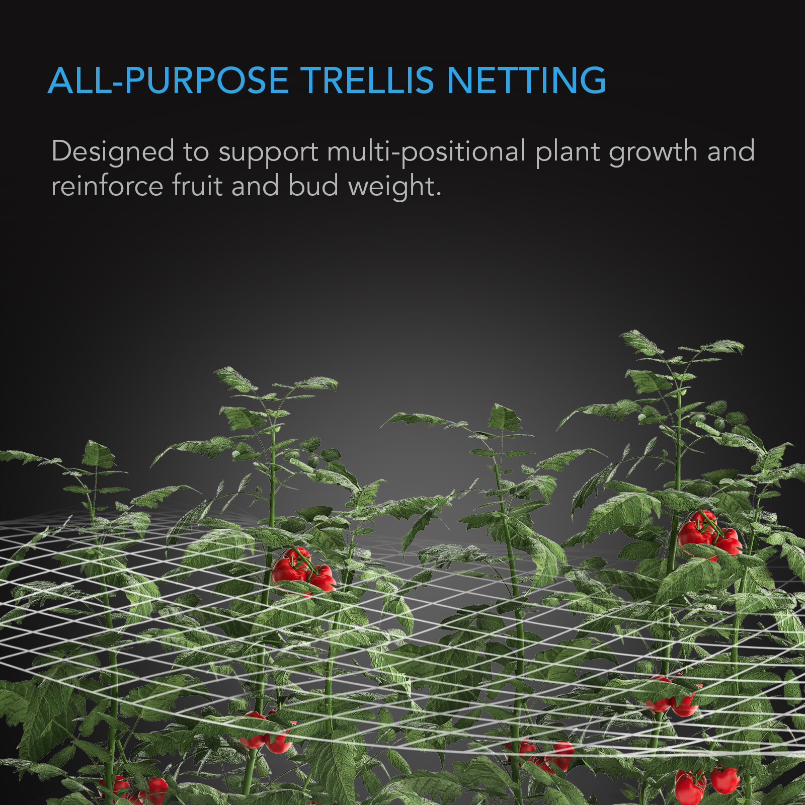 Polyester Plant Trellis Netting 5x15' Flexible Heavy-Duty Grow Net for Gardening