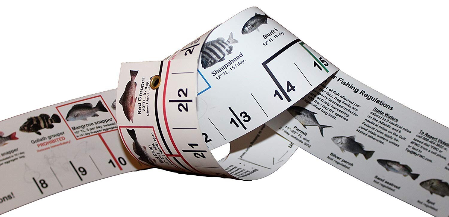 Super-Flex Fish ID & Regulations Ruler - Florida