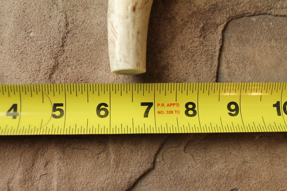 ~Elk antler knife handle ~Stabilized box elder burl ~Flintknapping knife