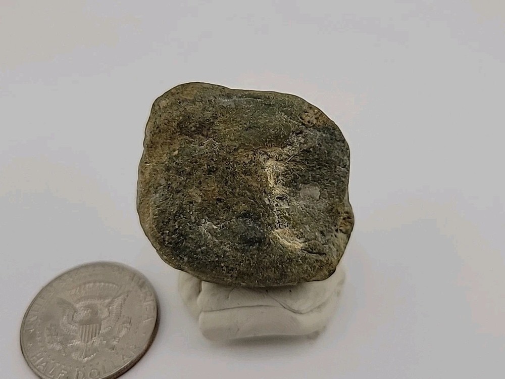 Real Permineralized Dinosaur Half Egg Embro Uv Reactive
