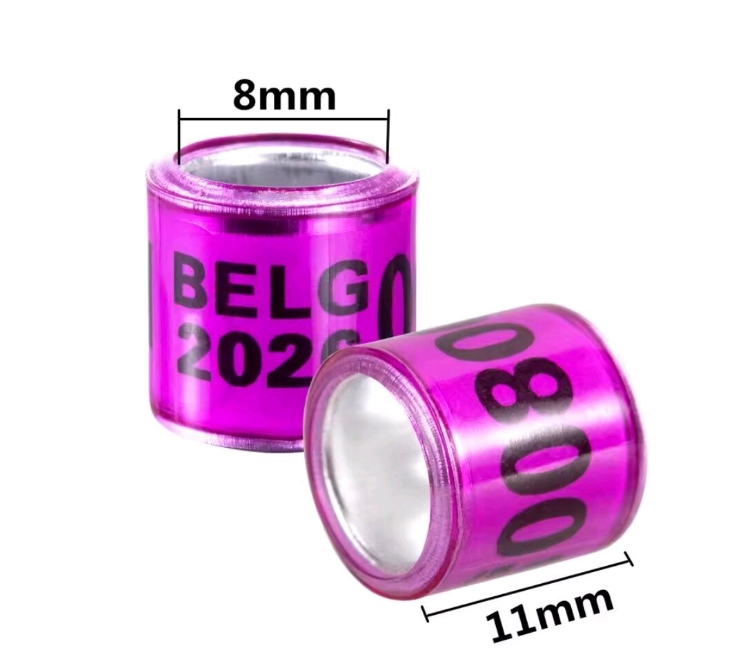 50Pcs Pigeon Ring 2026 Identification Rings Bird,10 Dif Color ANILLOS DE PALOMAS