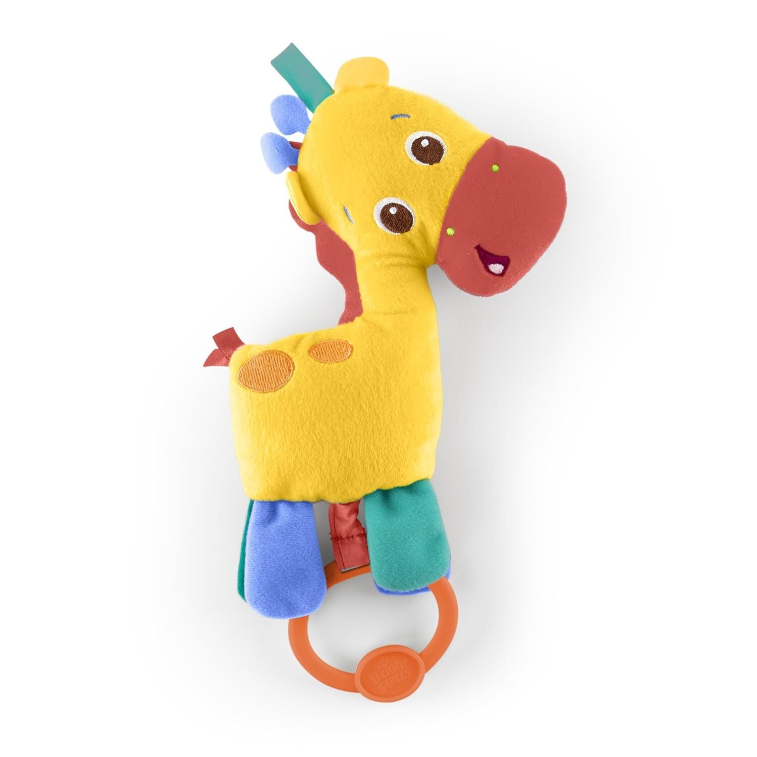 Zippy Zoo Activity Gym