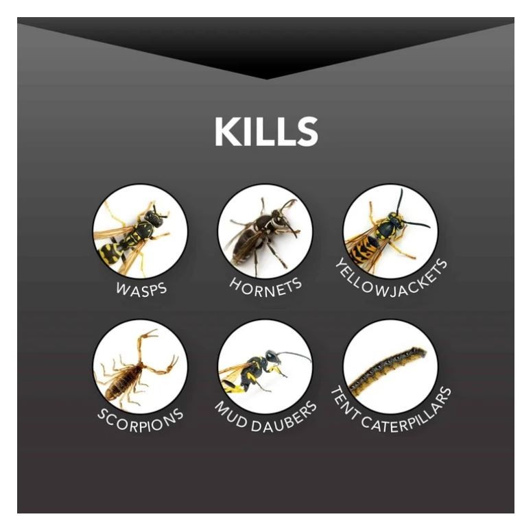Eliminator Wasp and Hornet Killer3, 17 Ounce, 3 Pack...