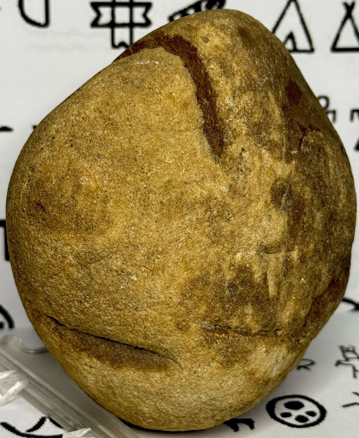 Native American Indian Authentic Artifact Stone Carved Effigy, 1 lb 10 oz • VA