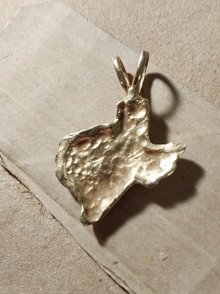 Gold Texas Pendant No Chain