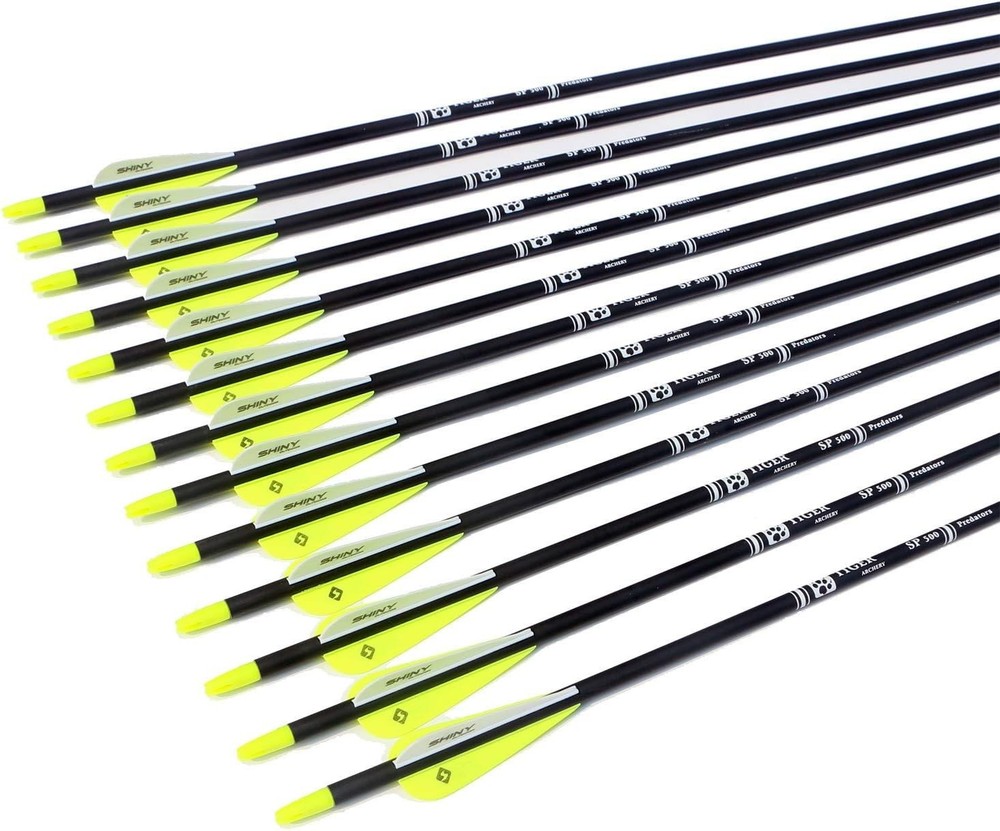 Precision Carbon Arrows 30 Inches - 12 Pack with Removable Tips for Bows