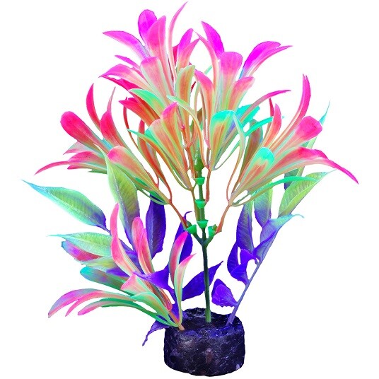 MARINA iGlo PLANT - 5.5 INCH - PP1006