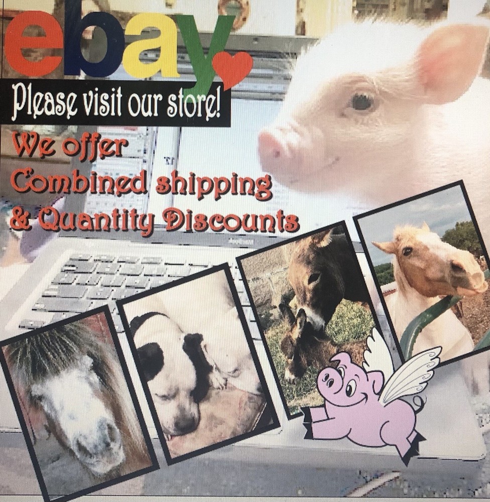 Poole Silver Co. Georgian EPNS Footed Martini Shaker #1002 Lid Missing