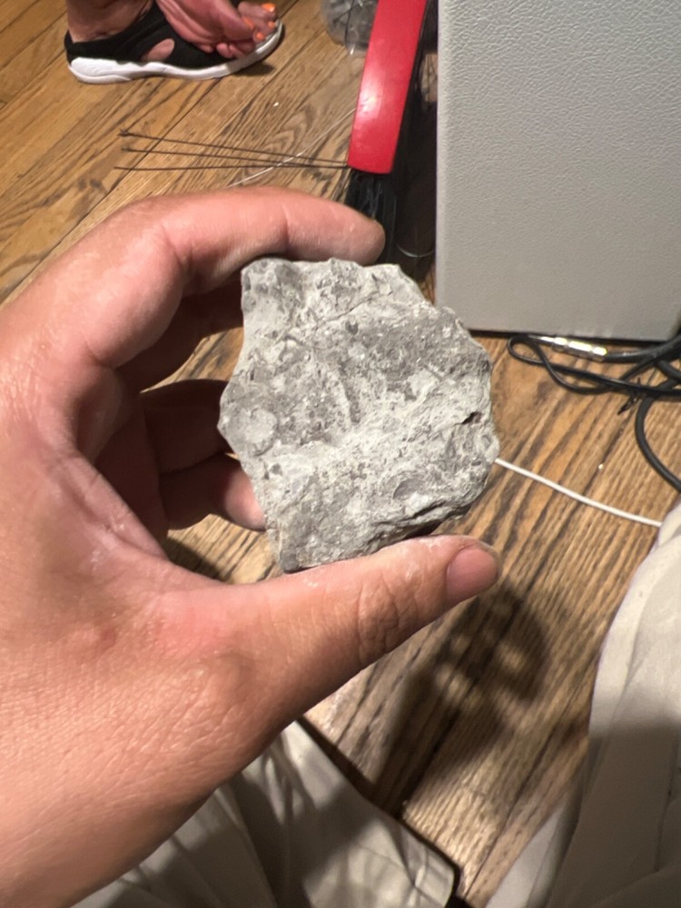 fossils other