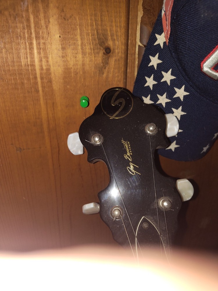 Greg Bennett Banjo Series