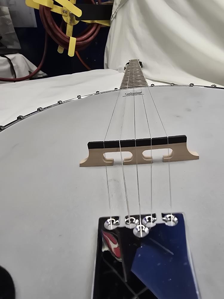 EPIPHONE BANJO MB200 (P31011602)
